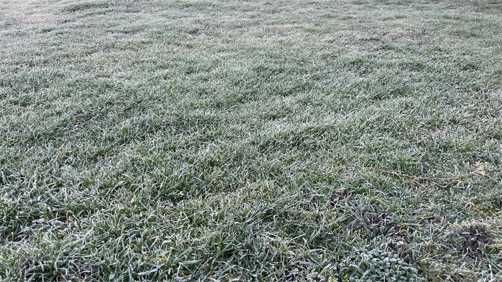 Cómo preparar tu jardín para el invierno