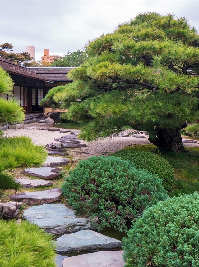 Diseñamos un jardín japonés en tu casa