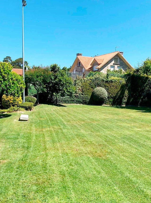 Especialistas en diseño de jardines en Pontevedra