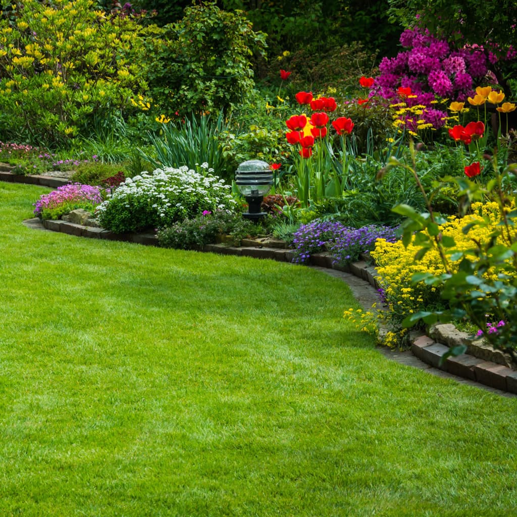 Plantas para rocallas en Pontevedra