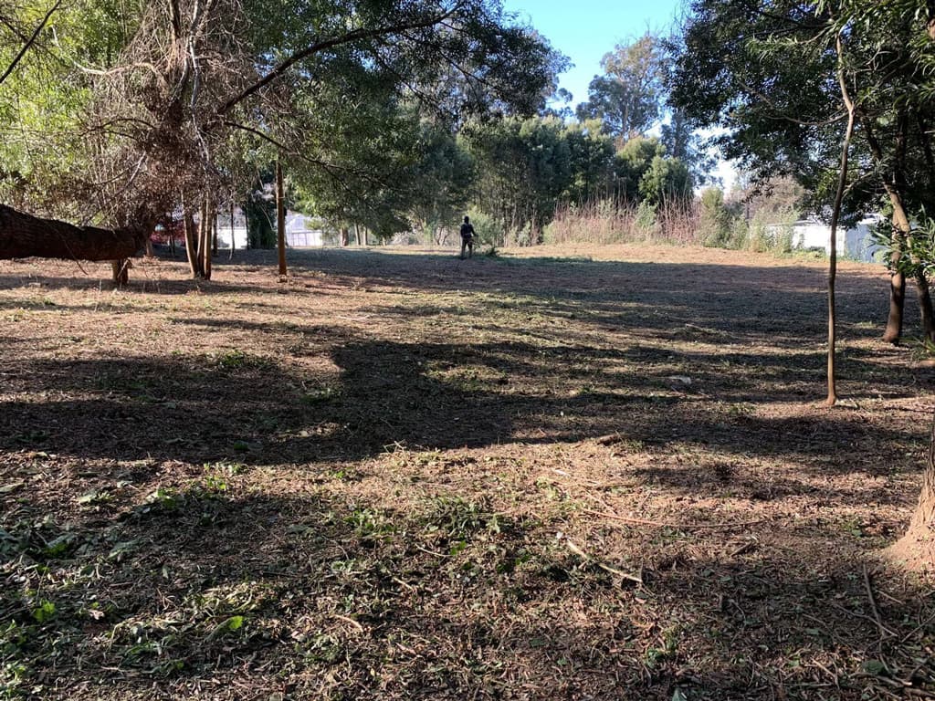 ¿Por qué realizar el desbroce de terreno en Pontevedra?