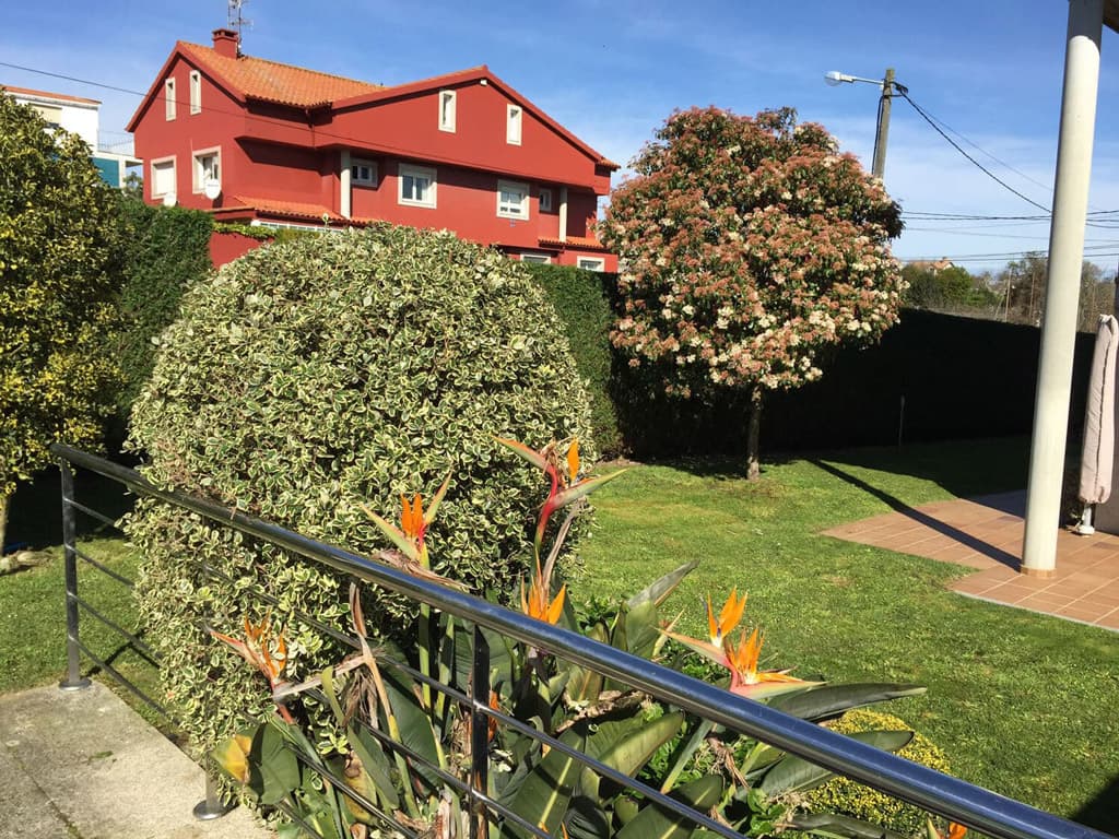 Diseñar un jardín en Pontevedra